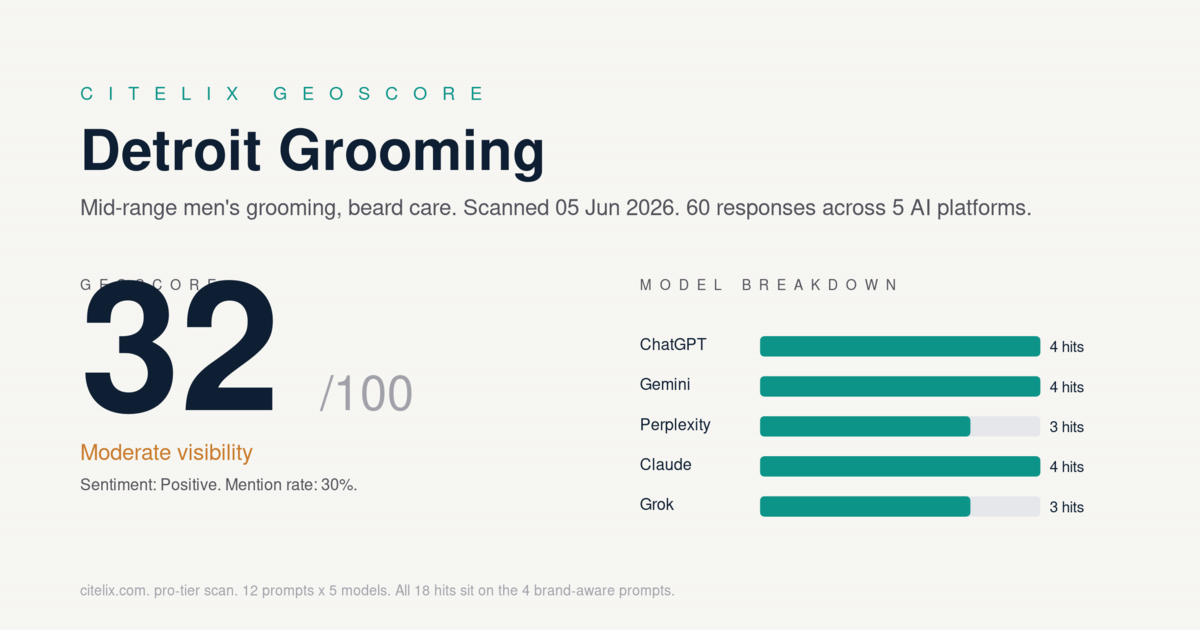 Detroit Grooming GeoScore 32 out of 100 with model breakdown
